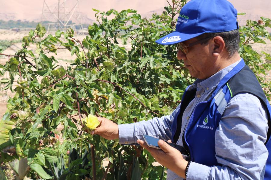 EPS Moquegua realizó inspeccción de venta de agua residual tratada en la Asociación Reforestación OMO